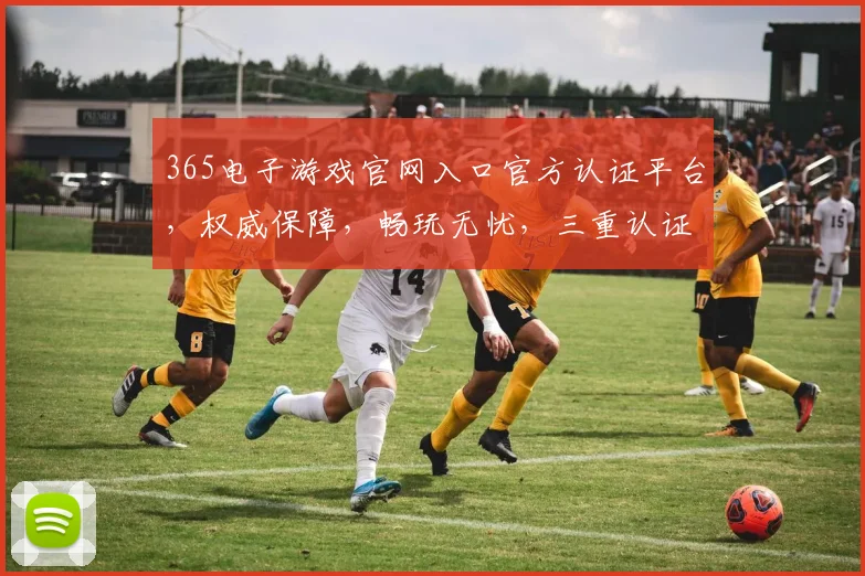 365电子游戏官网入口官方认证平台，权威保障，畅玩无忧，三重认证，安全可靠，必看攻略
