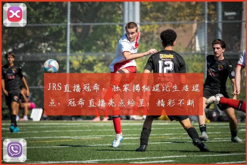 JRS直播冠希，独家揭秘逗比生活逗点，冠希直播亮点纷呈，精彩不断逗趣不停